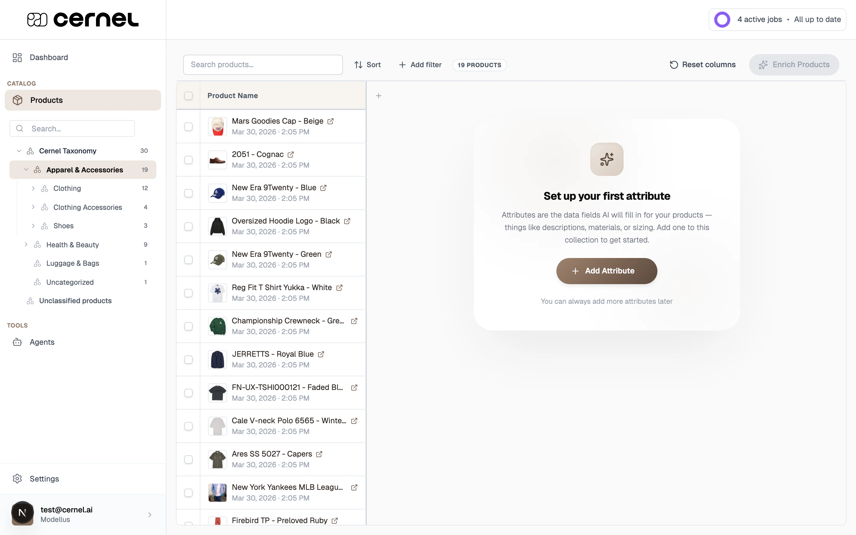 The Products page showing the taxonomy sidebar with Cernel Taxonomy as root, Apparel & Accessories expanded into Clothing, Clothing Accessories, and Shoes, plus Health & Beauty and Luggage & Bags categories