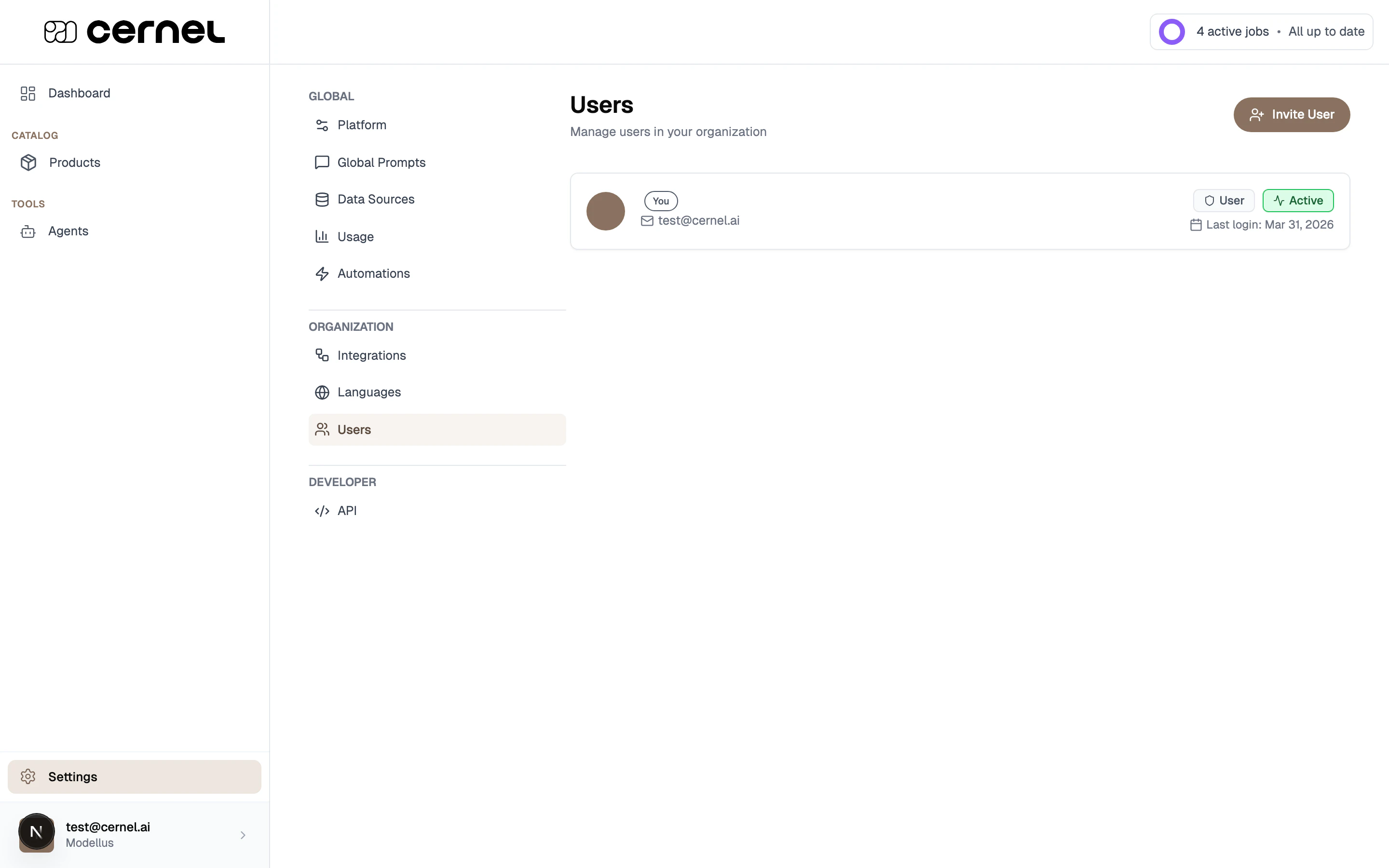 The Users page showing user cards with avatar initials, name with 'You' badge, email, role badge (Admin/User), status badge (Active), and last login date, with an 'Invite User' button