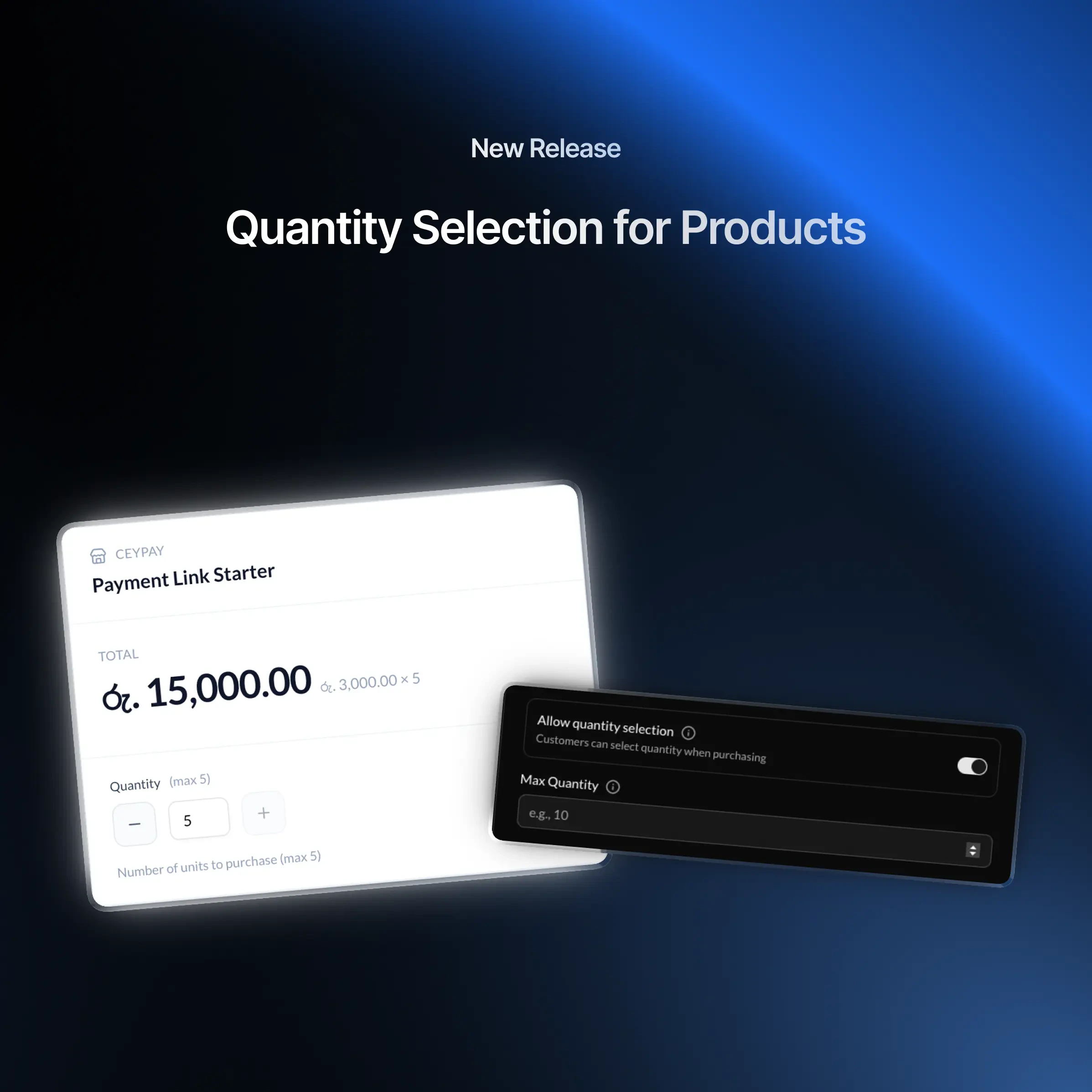 Quantity Selection for Payment Links