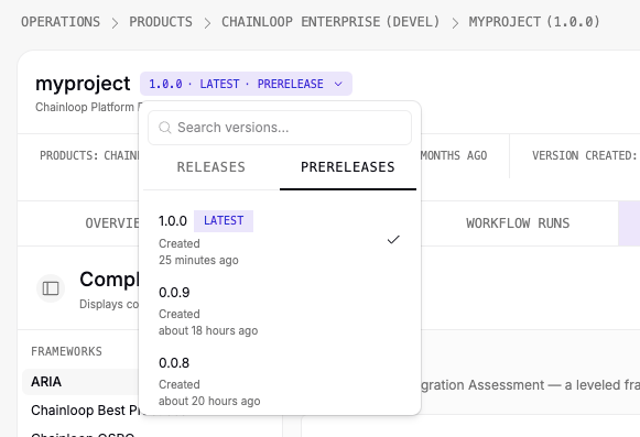 Version selector showing the newly created 1.0.0 project version