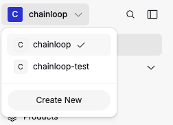 The organization switcher in the top left corner with the list of organizations and the Create New option