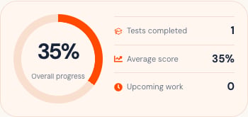Mobile study progress panel with overall progress and summary statistics.