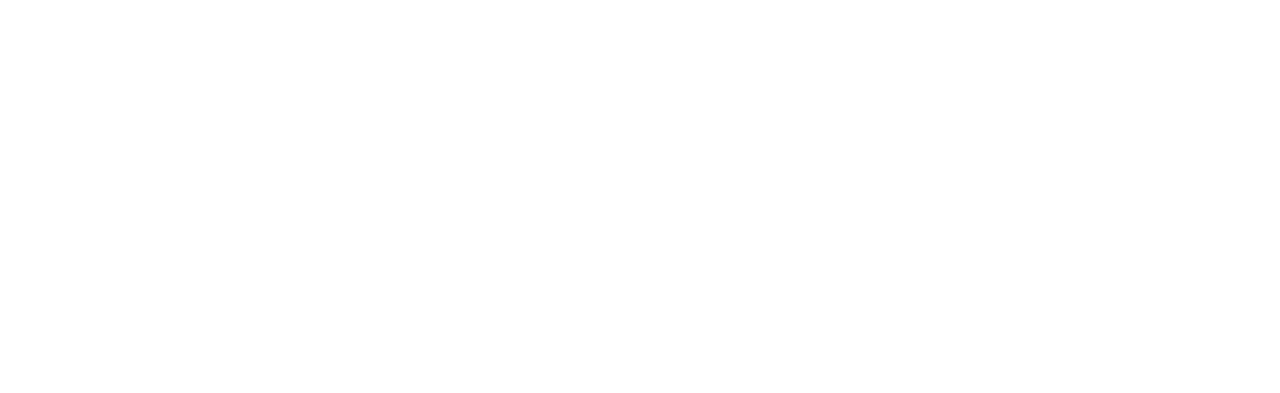 light logo