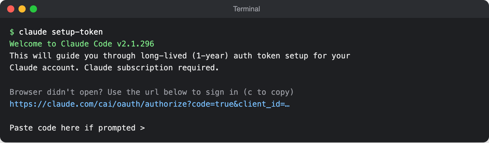 Terminal running claude setup-token: Welcome to Claude Code, a note that it sets up a long-lived (1-year) auth token and needs a Claude subscription, a sign-in link, and a prompt to paste the code.