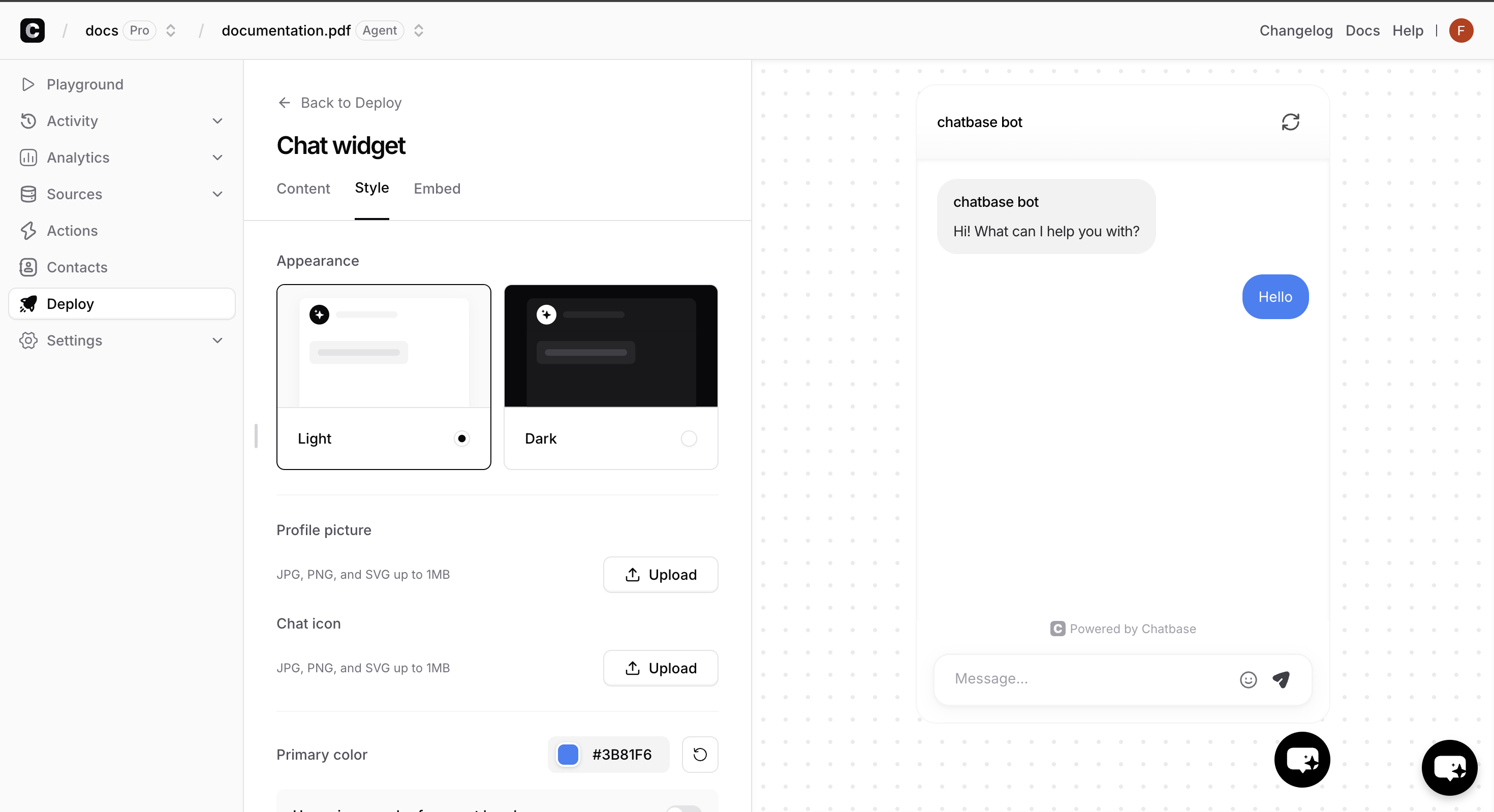 Chat interface customization options