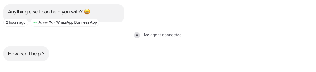 A reply in Chat logs labeled as sent from the WhatsApp Business app
