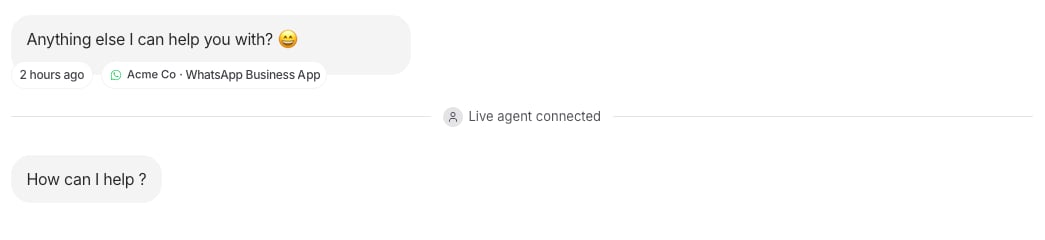 A reply in Chat logs labeled as sent from the WhatsApp Business app