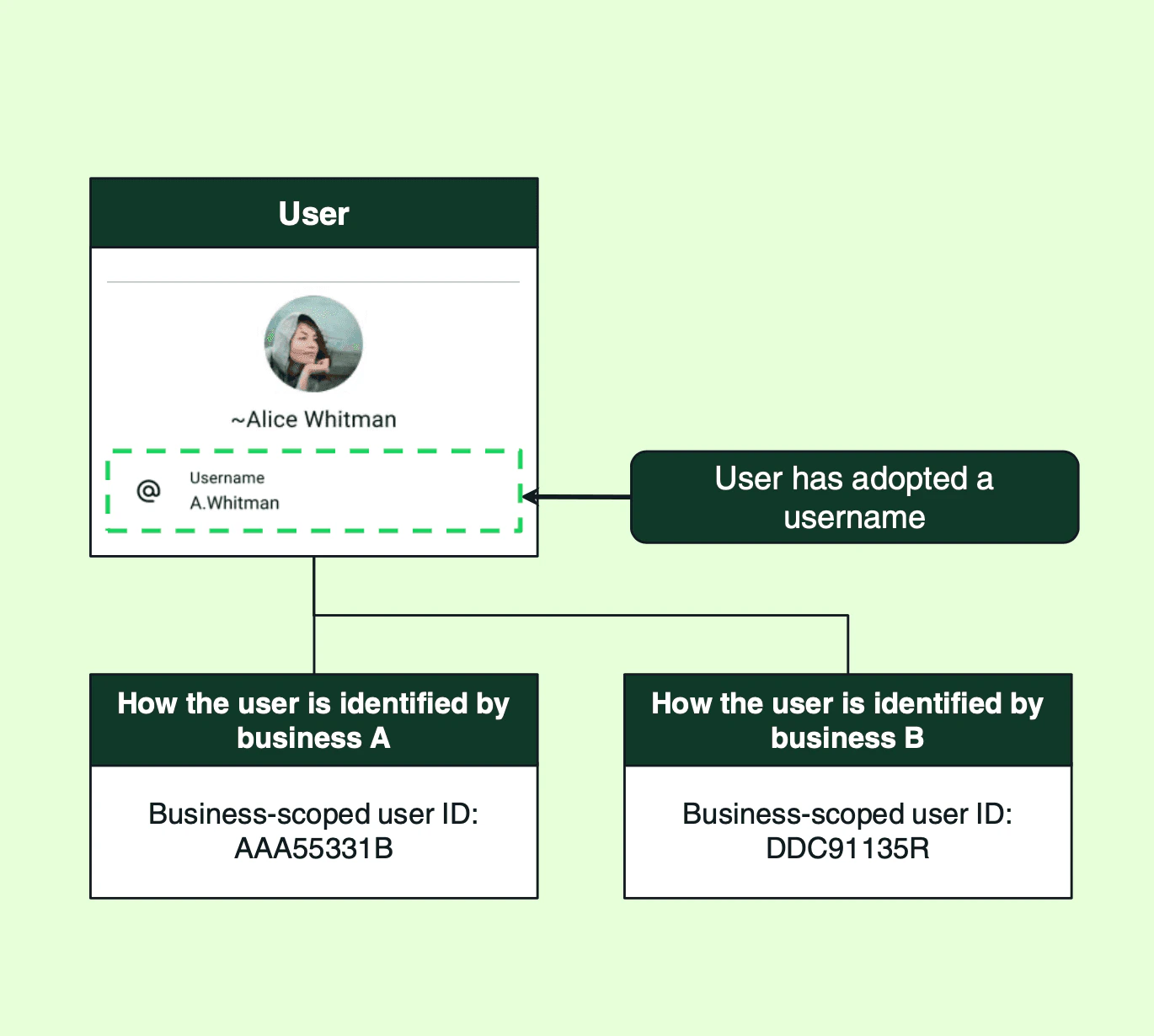 BSUID Webhook Presence