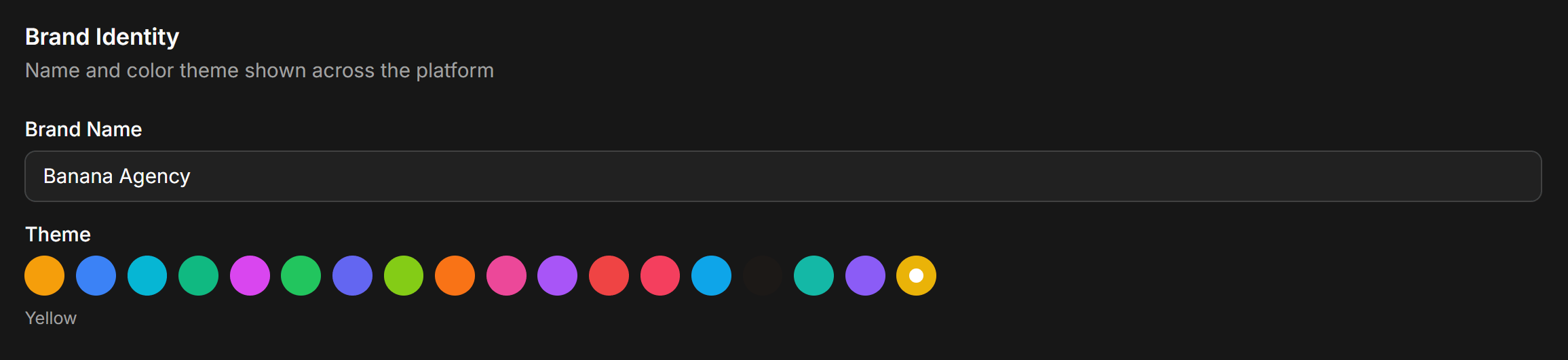 Chatbotx Whitelabel Brand Identity Settings