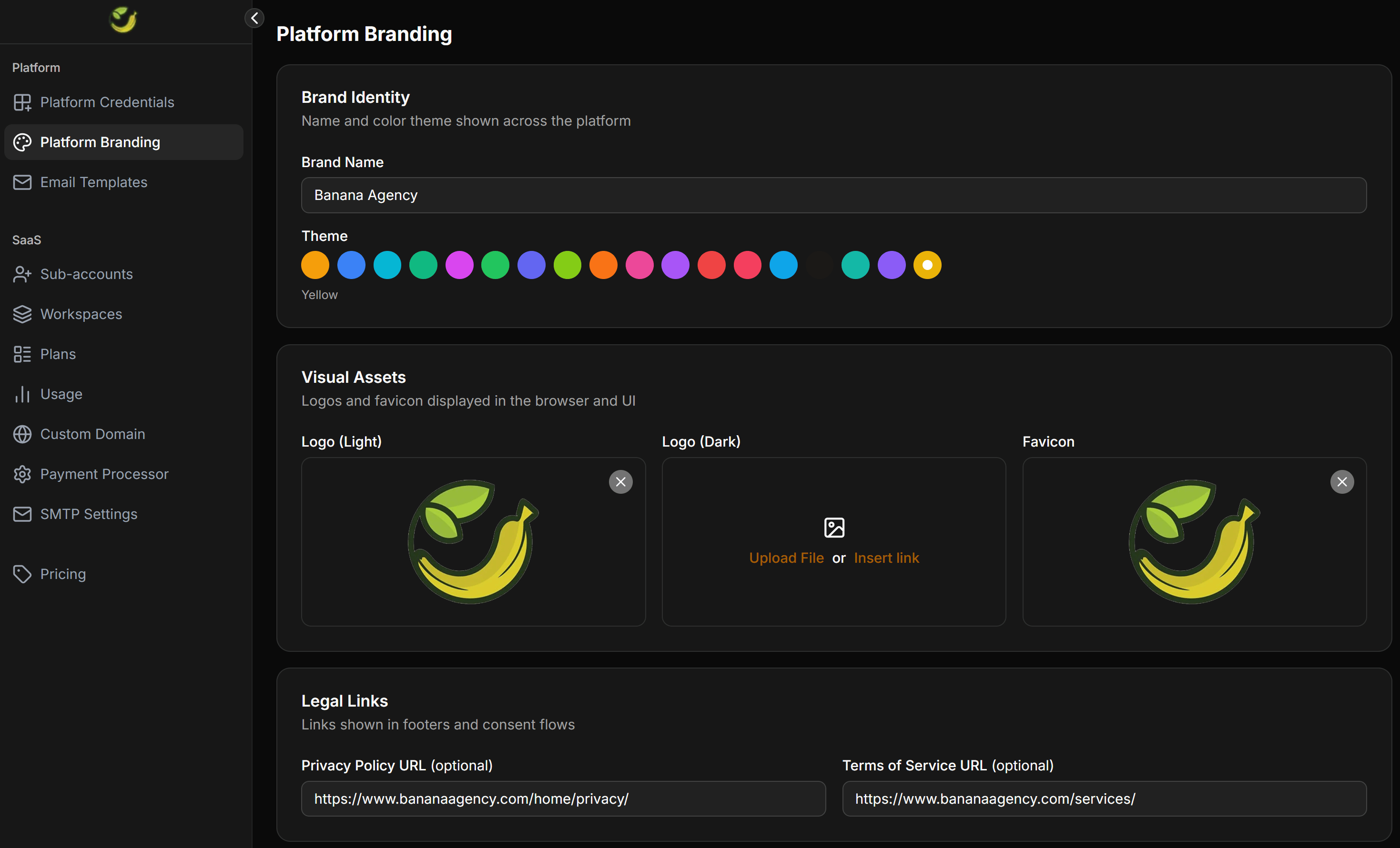 Chatbotx Whitelabel Platform Branding Overview
