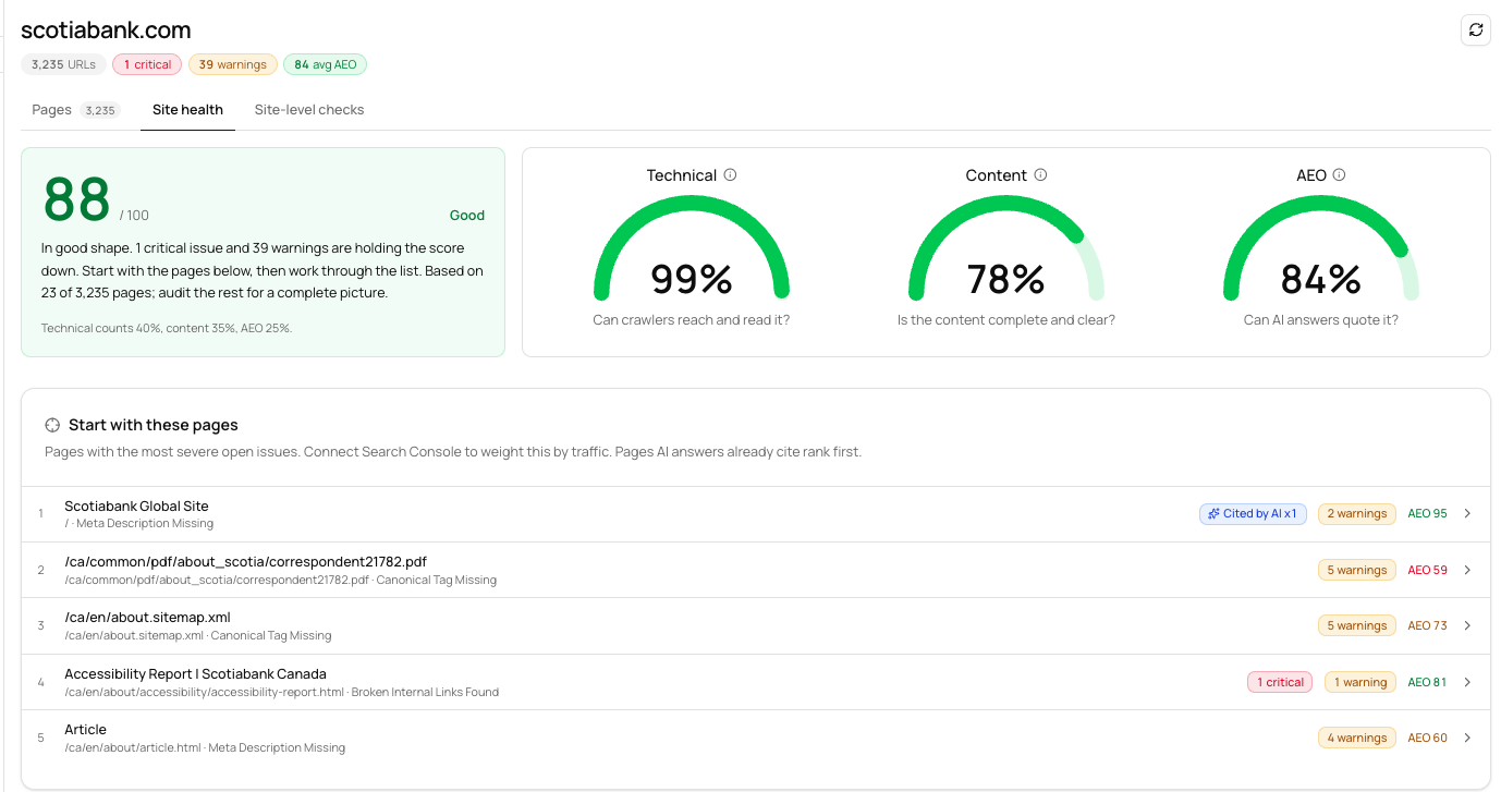 Site Audit