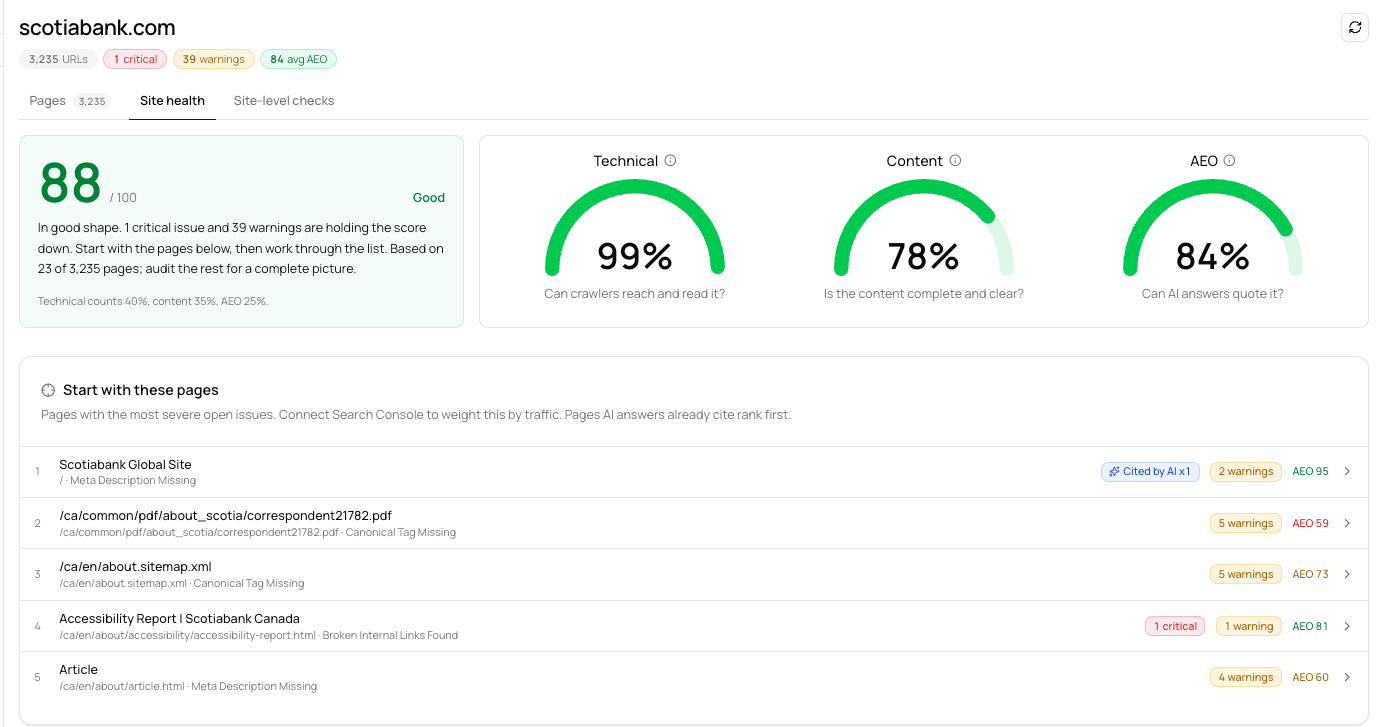 Site Audit