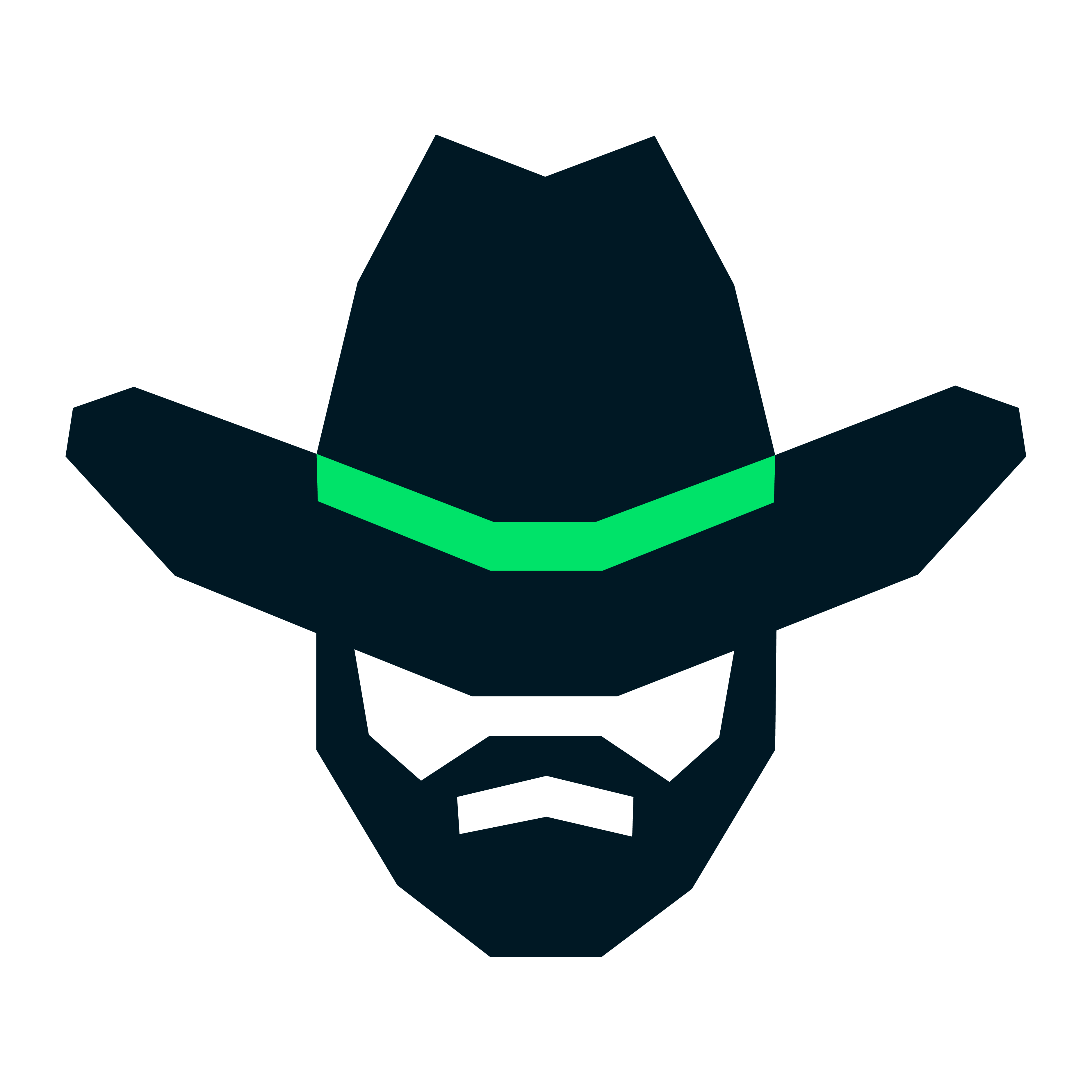 light logo