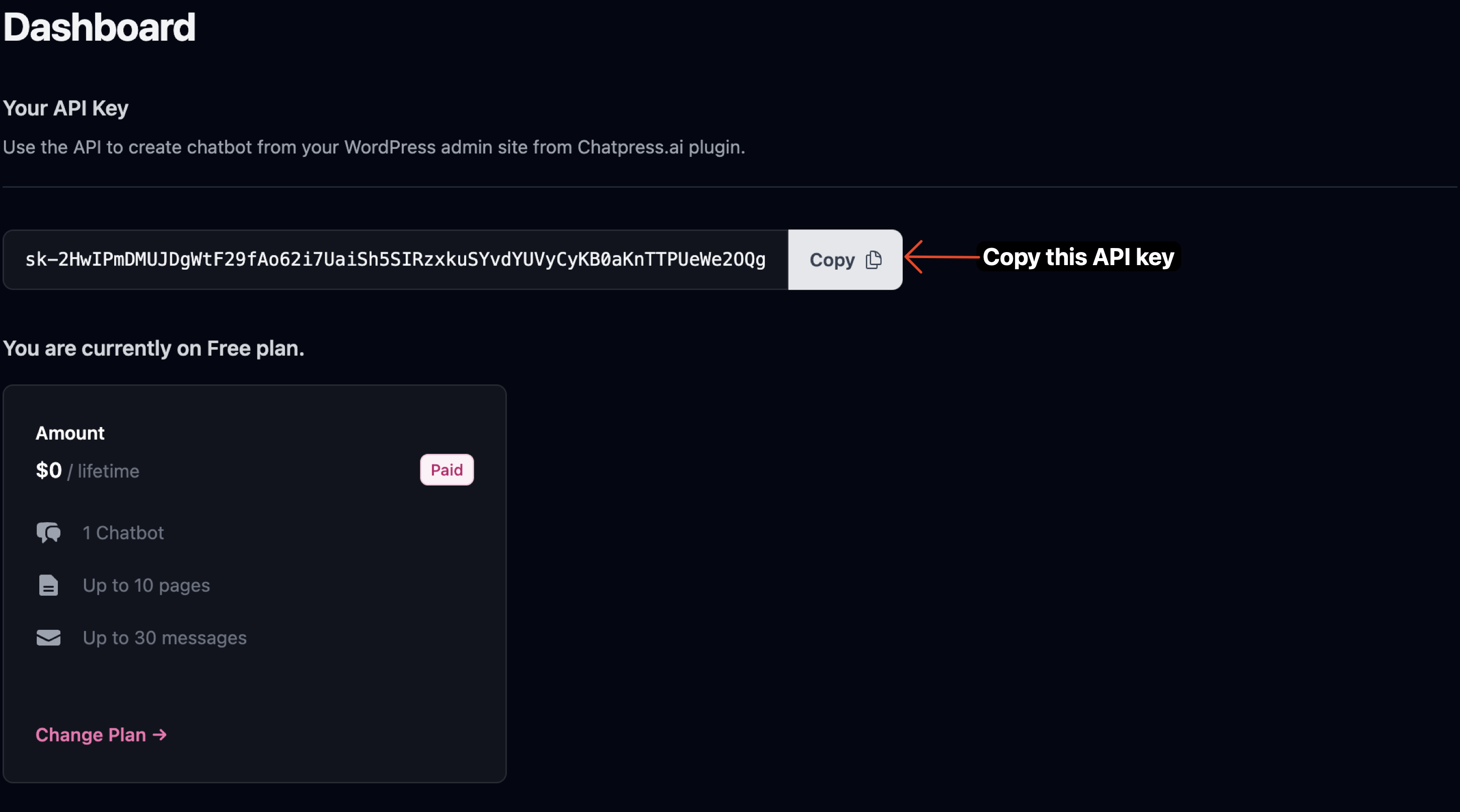 Copy API key screenshot