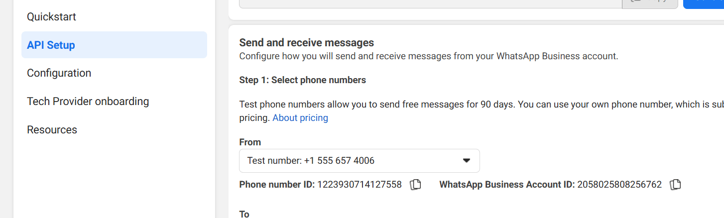Phone Number ID and WABA ID
