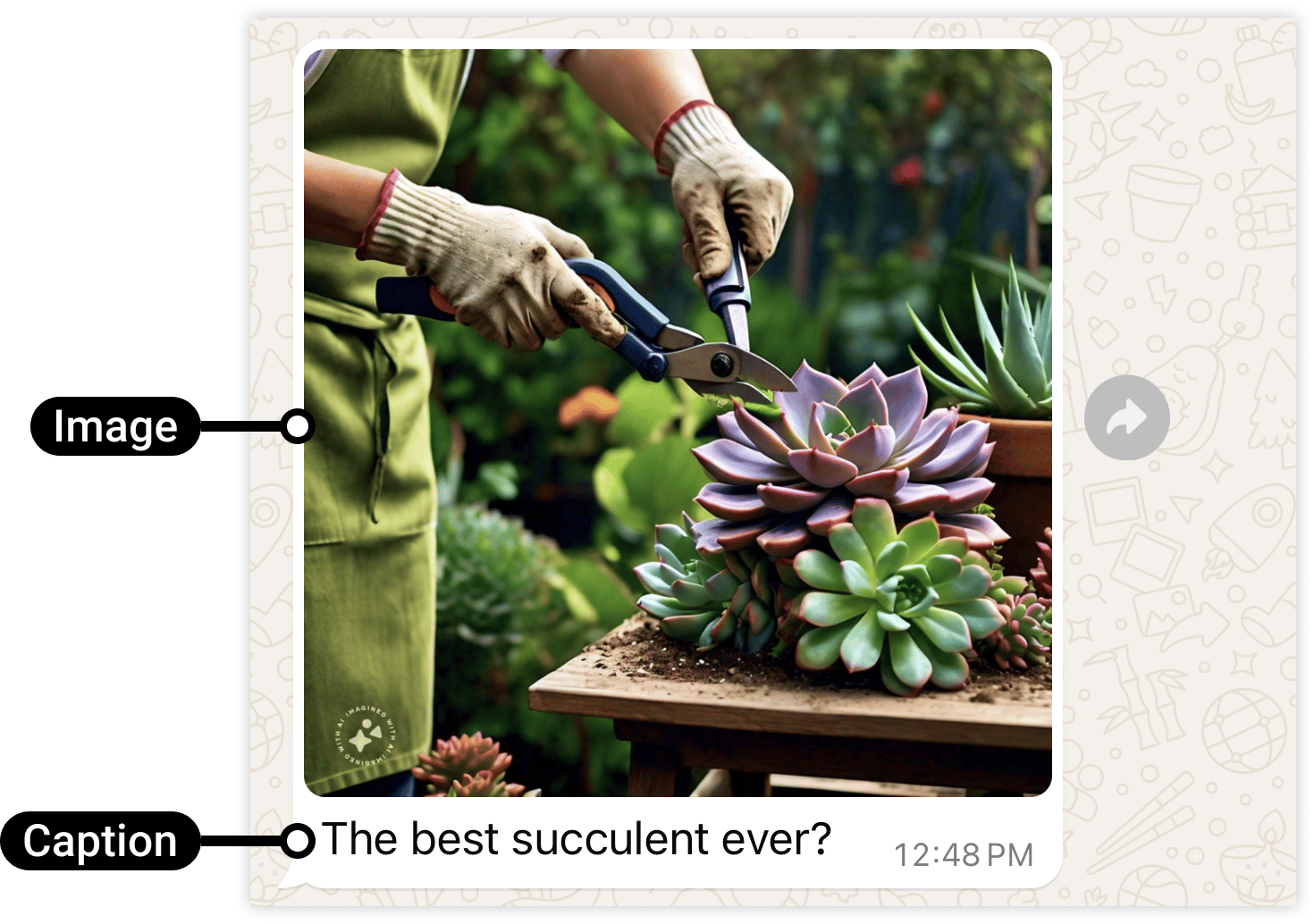 Image message example