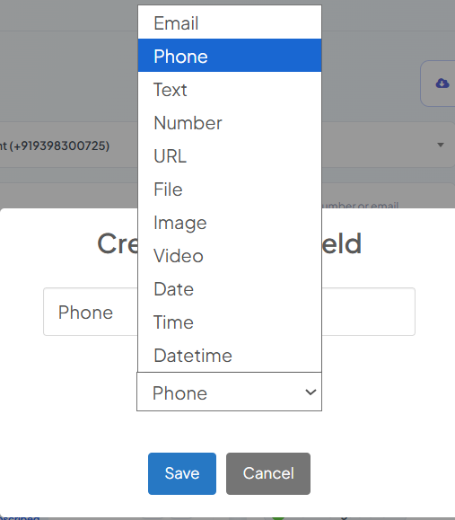 Reply Type dropdown open showing Email, Phone, Text, Number, URL, File, Image, Video, Date, Time, and Datetime options
