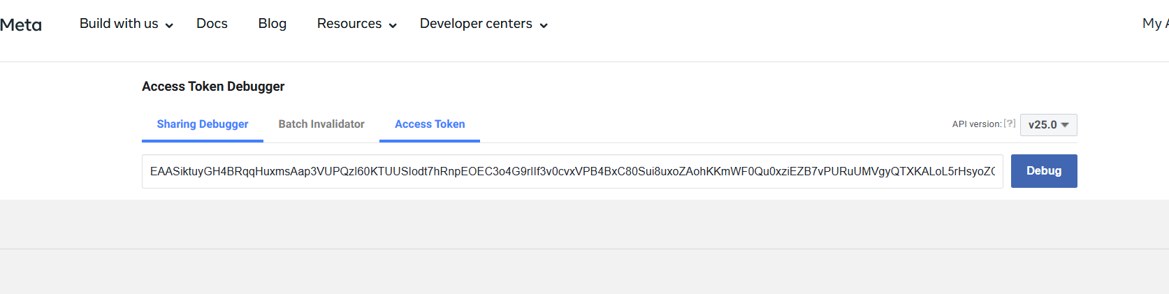 Meta Access Token Debugger showing a token's expiry and permissions