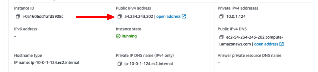Get Public IP