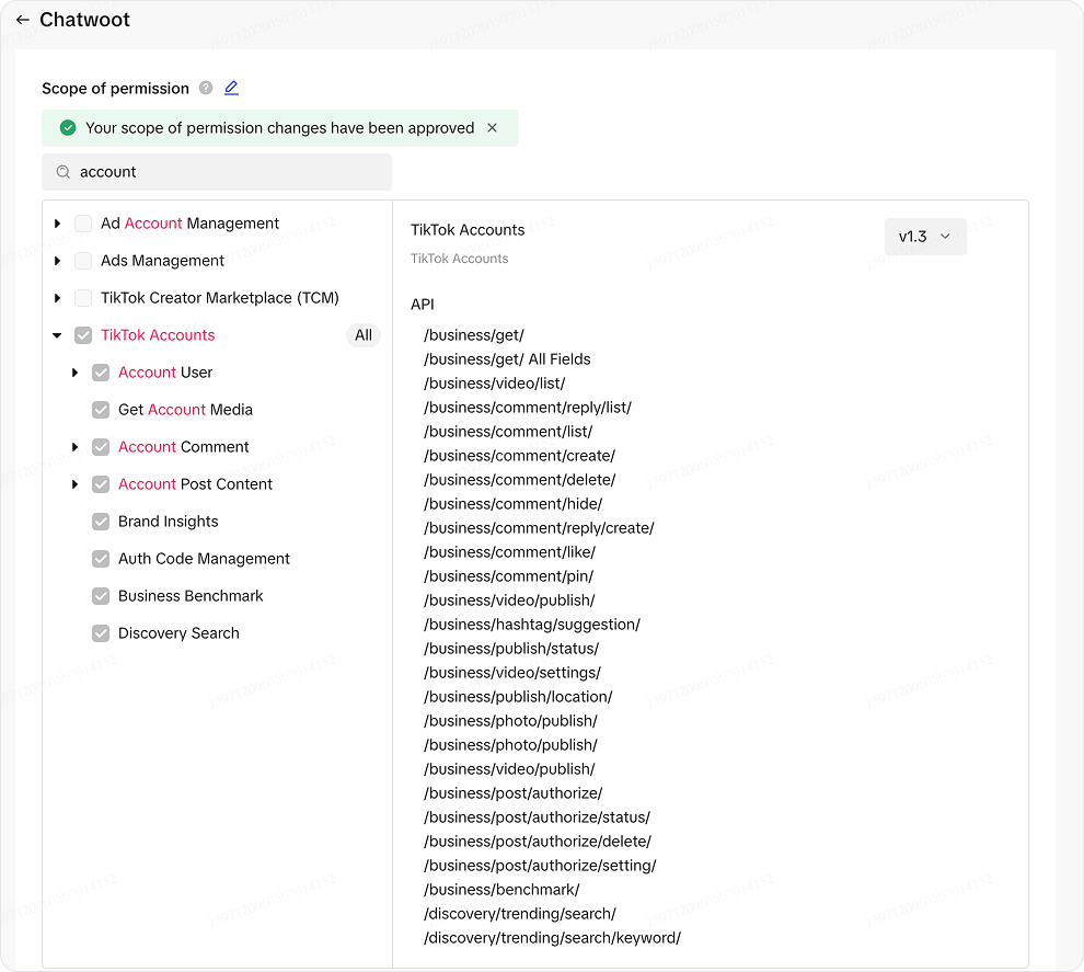 Setting Up TikTok Channel - Chatwoot Developer Docs
