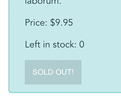 Our e-commerce storefront