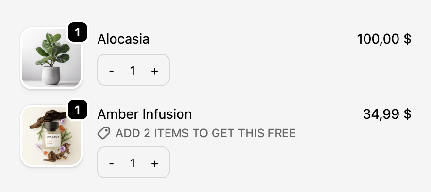 Checkout page showing cart line editor with quantity controls and variant selector beneath each cart item