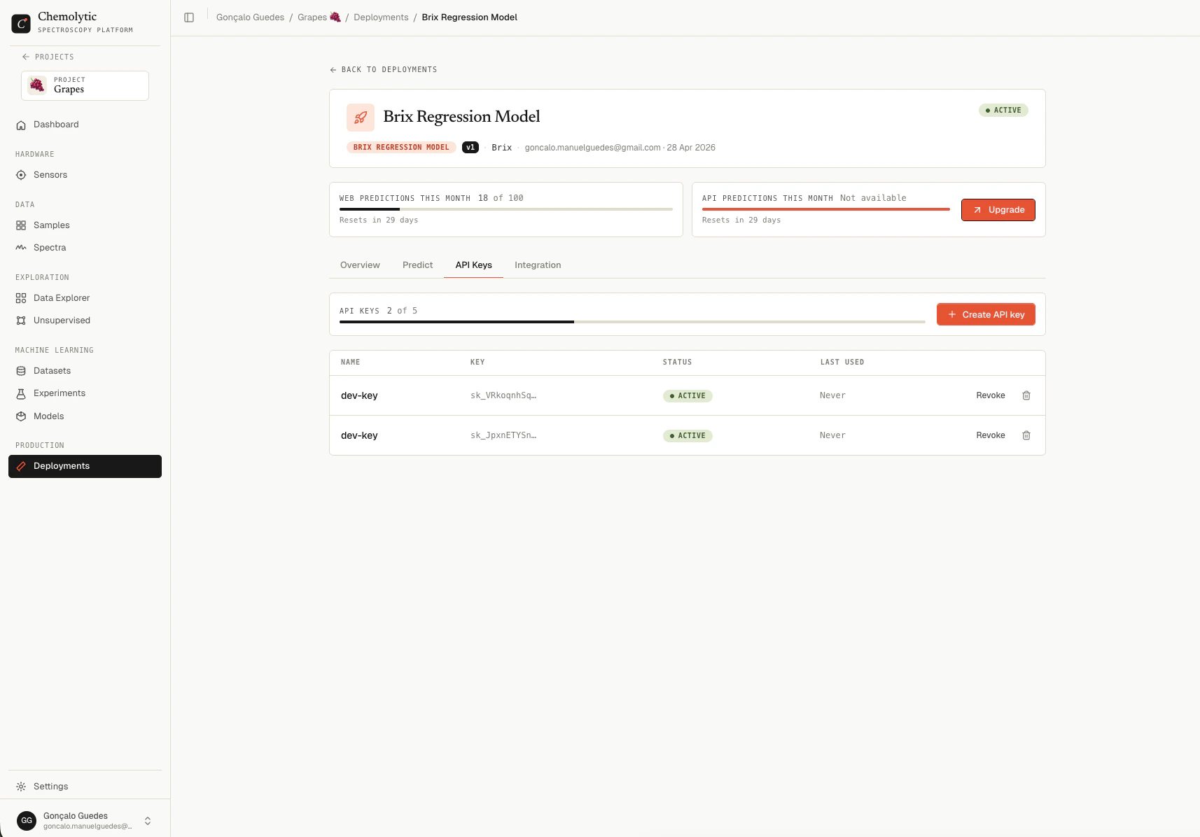 API Keys tab showing a list of keys with name, prefix, status, and last-used columns