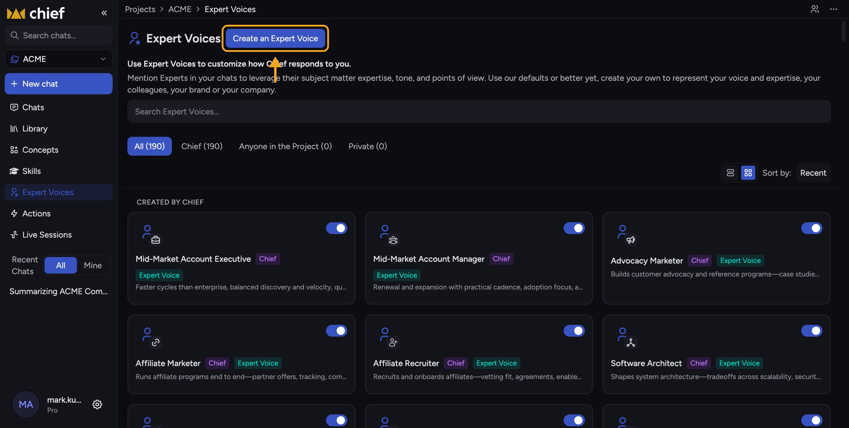 Chief: Creating a custom expert voice — Create a custom Expert Voice