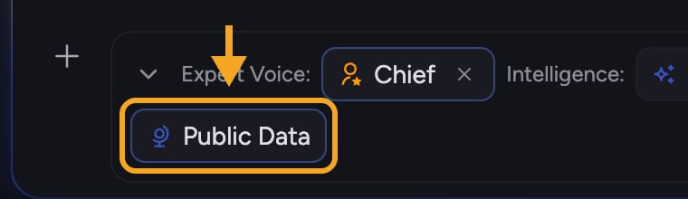 Chief: Public Data — the Public Data toggle in the prompt bar