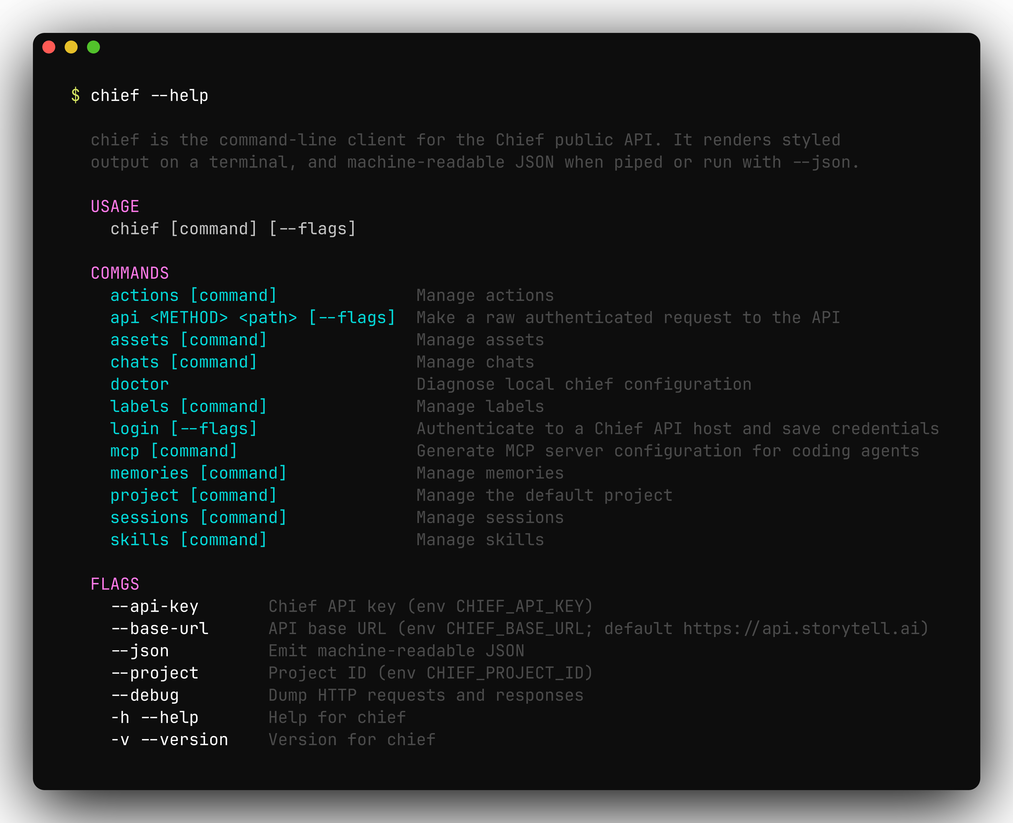 chief --help output listing the top-level commands and global flags