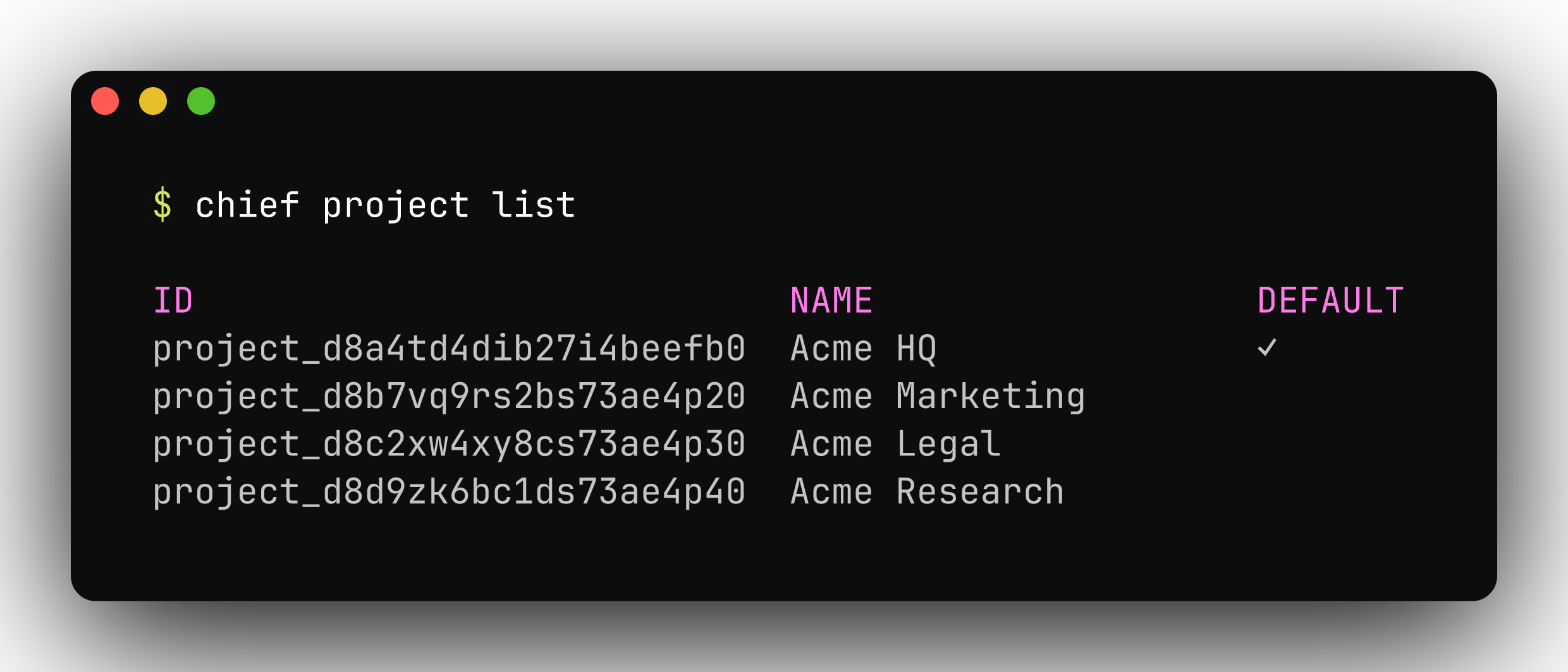chief project list showing project names and project ids with the active one marked