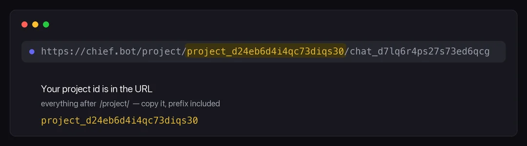 Browser address bar showing a Chief project URL with the project id segment highlighted