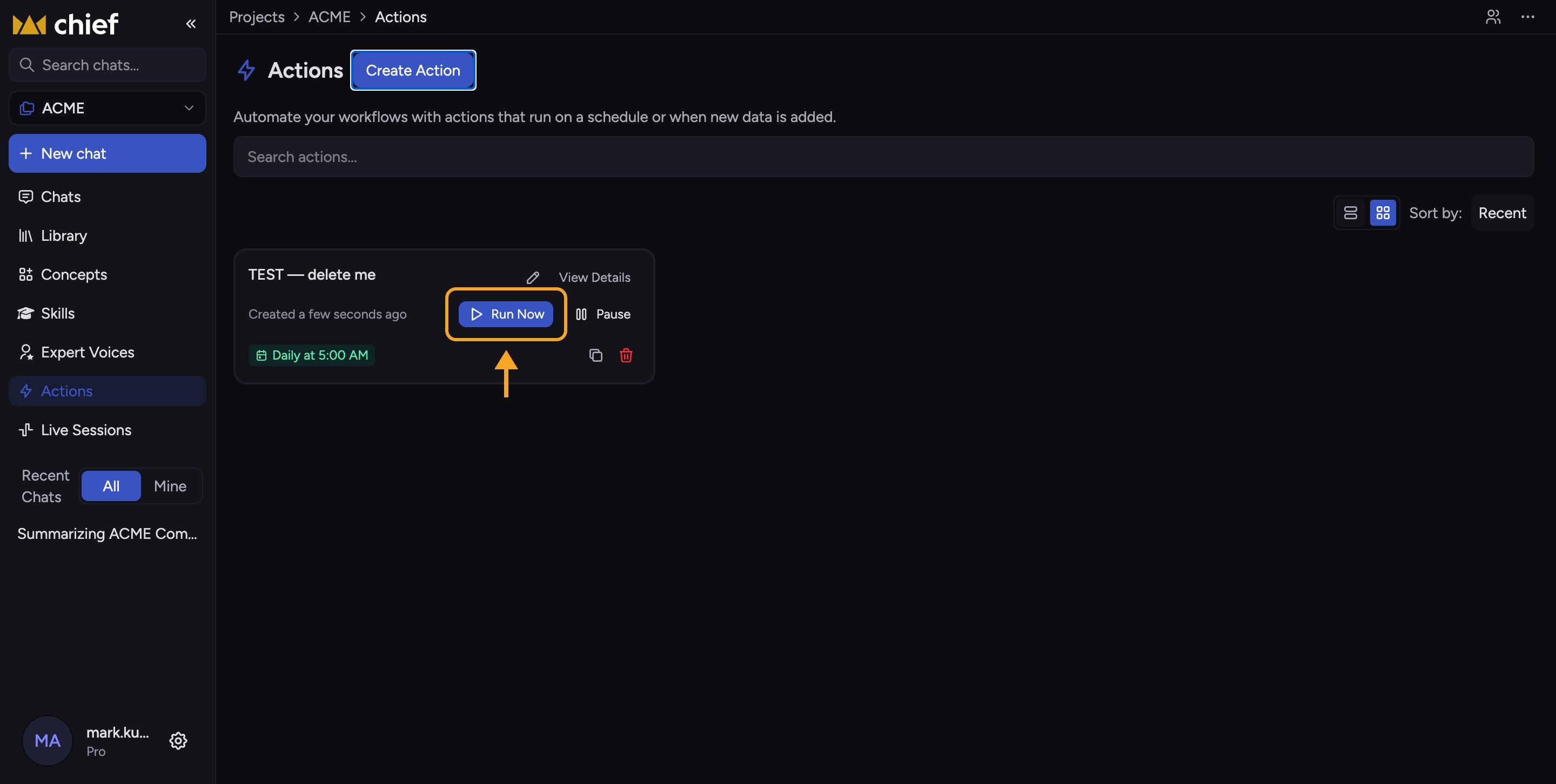 Chief: Viewing run history & running manually — Run an Action manually with Run Now