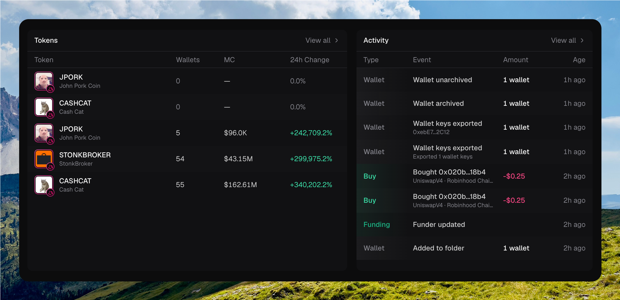 Overview Tokens and Activity panels side by side, each with View all, showing token rows and recent wallet, buy, and funding events