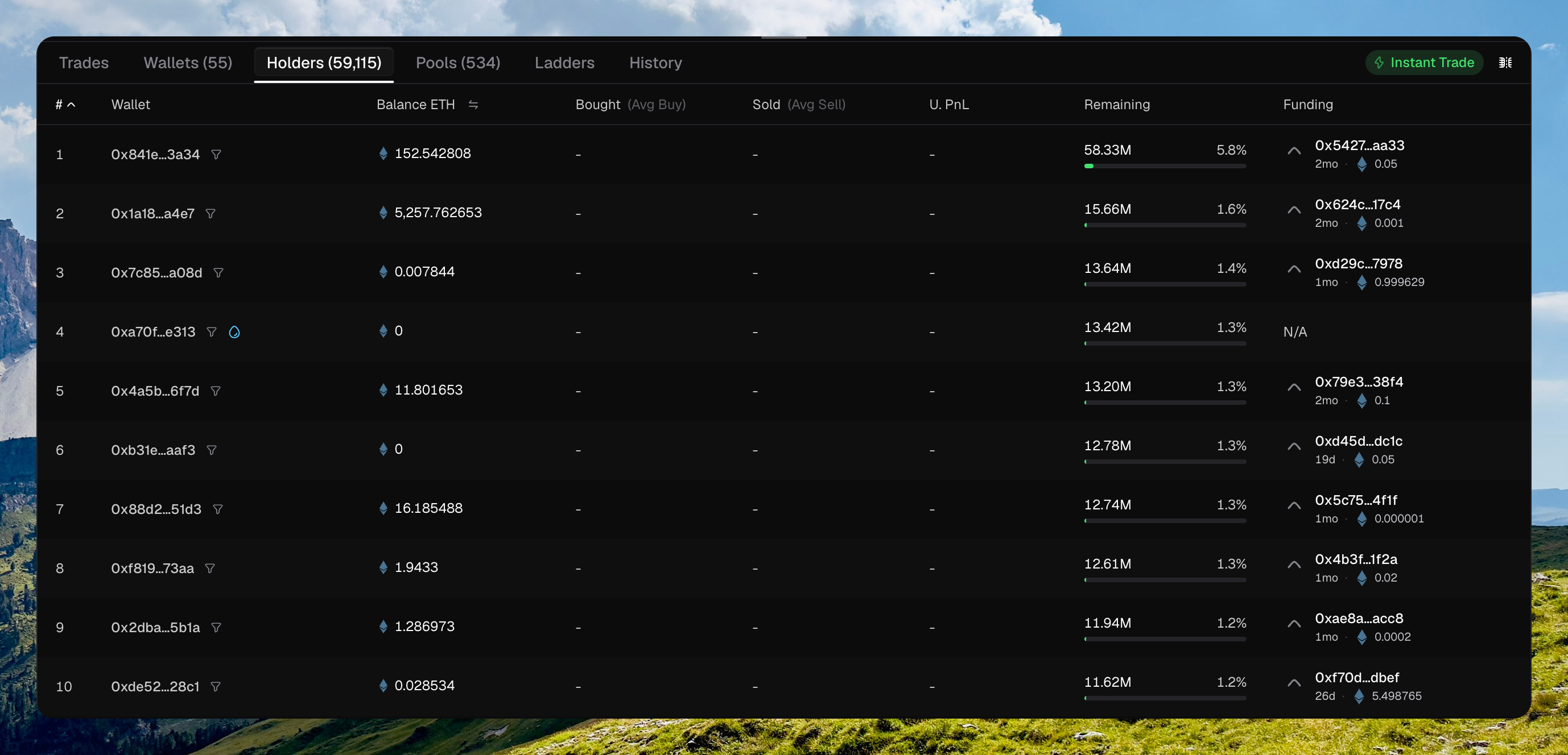 Holders tab showing rank, wallet, balance, remaining percent of supply, and Funding