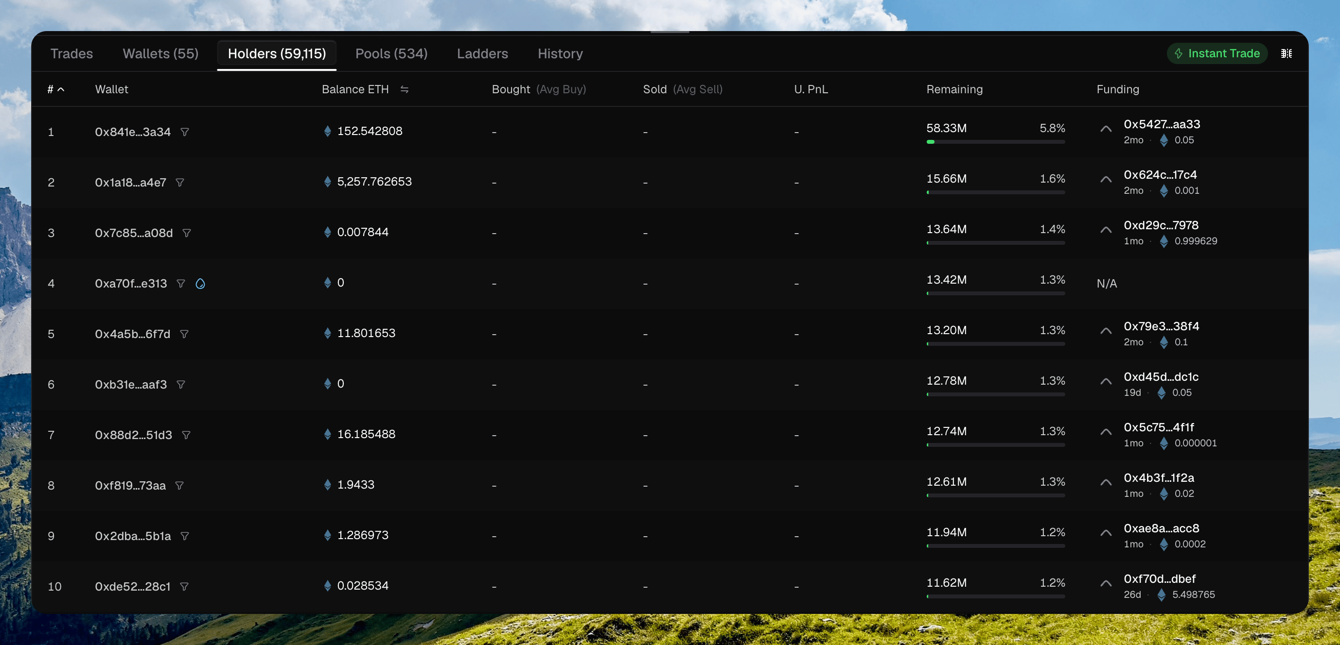 Holders tab showing rank, wallet, balance, remaining percent of supply, and Funding