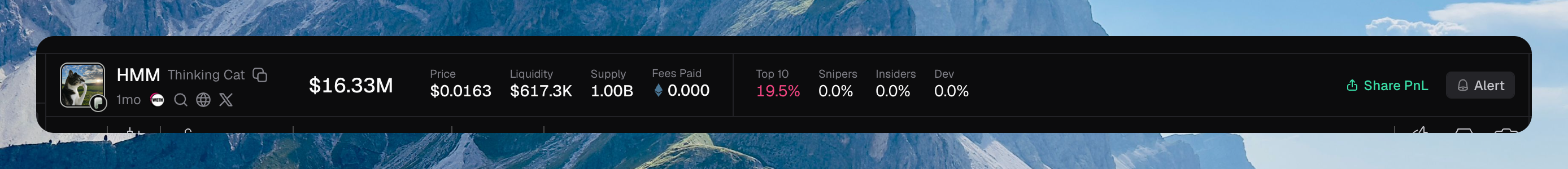 HMM Thinking Cat header with $16.33M market cap, price, liquidity, supply, fees paid, Top 10 / Snipers / Insiders / Dev percents, and Share PnL