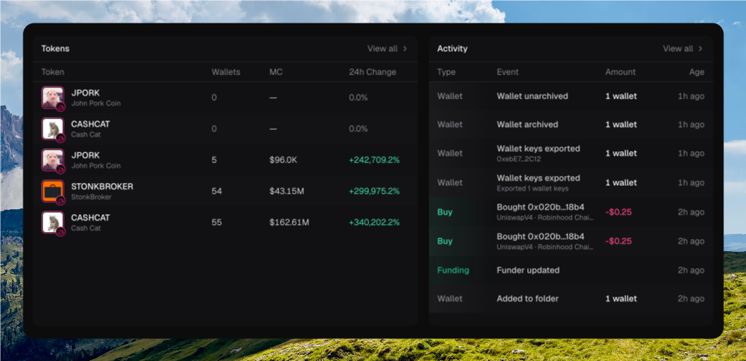 Overview Tokens and Activity panels side by side, each with View all, showing token rows and recent wallet, buy, and funding events