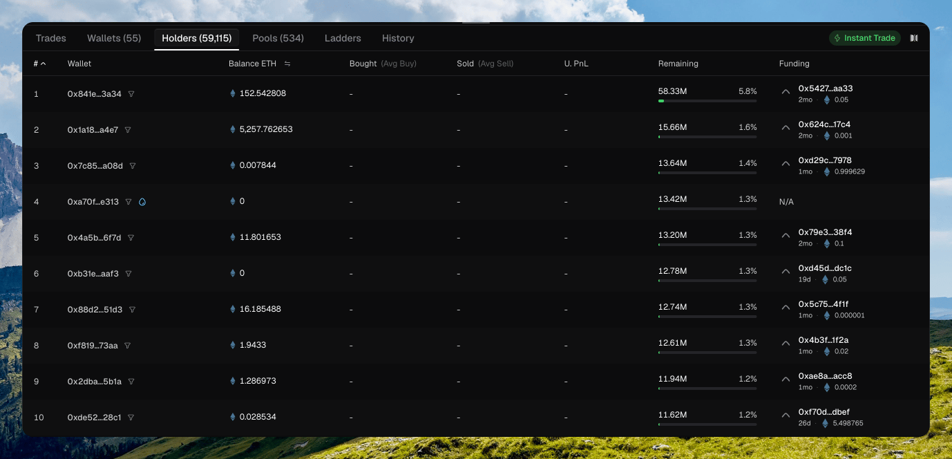Holders tab showing rank, wallet, balance, remaining percent of supply, and Funding