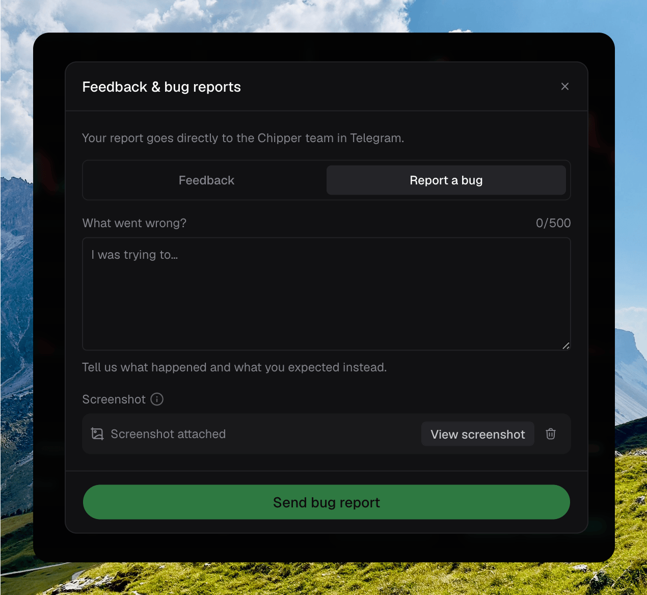 Feedback & bug reports dialog on Report a bug, with What went wrong, a screenshot attached, View screenshot, and Send bug report