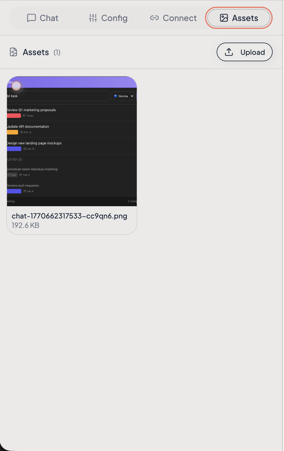 Builder sidebar with the Assets tab highlighted