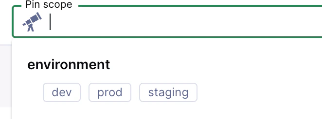 Pinned scopes page display