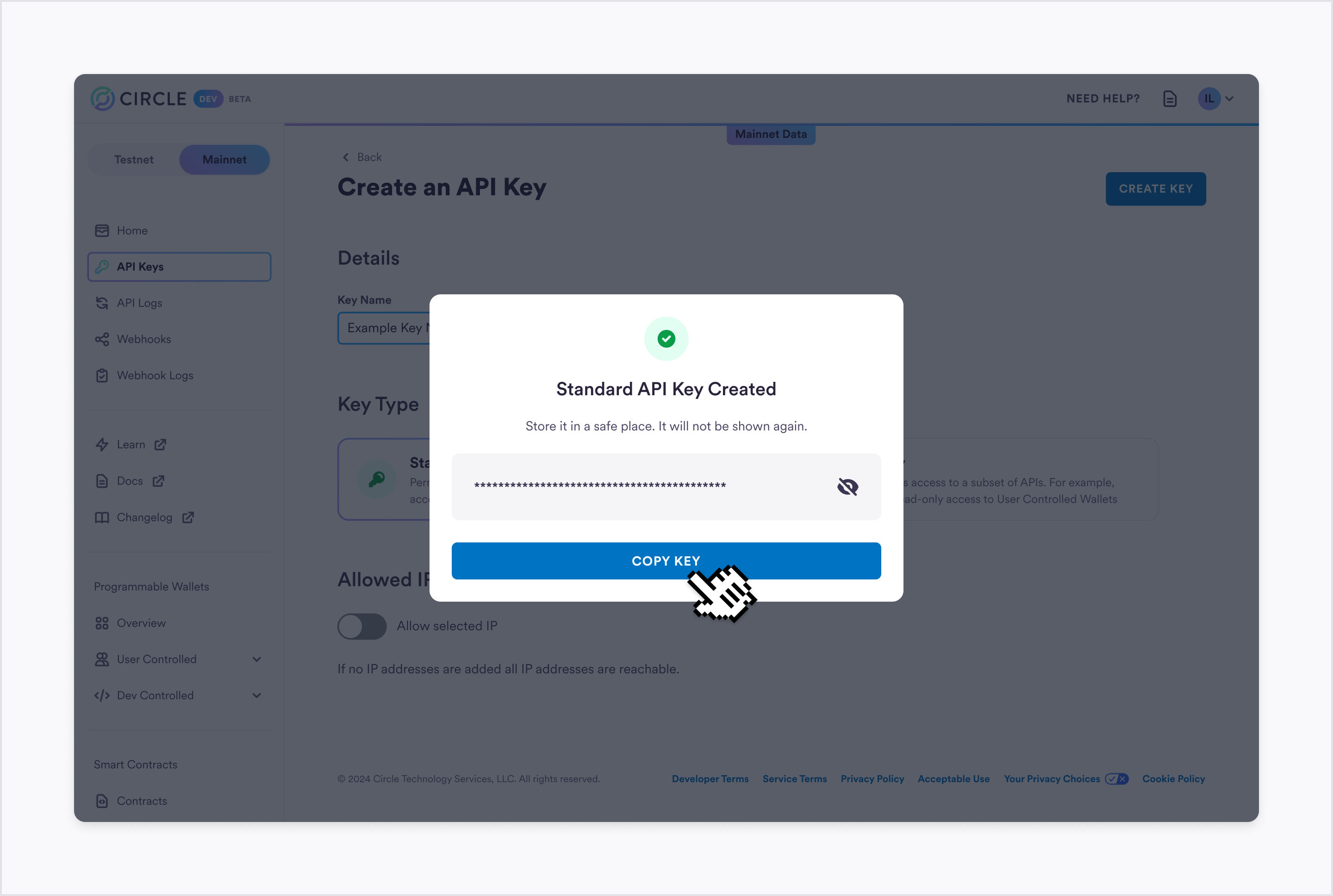API key successfully created