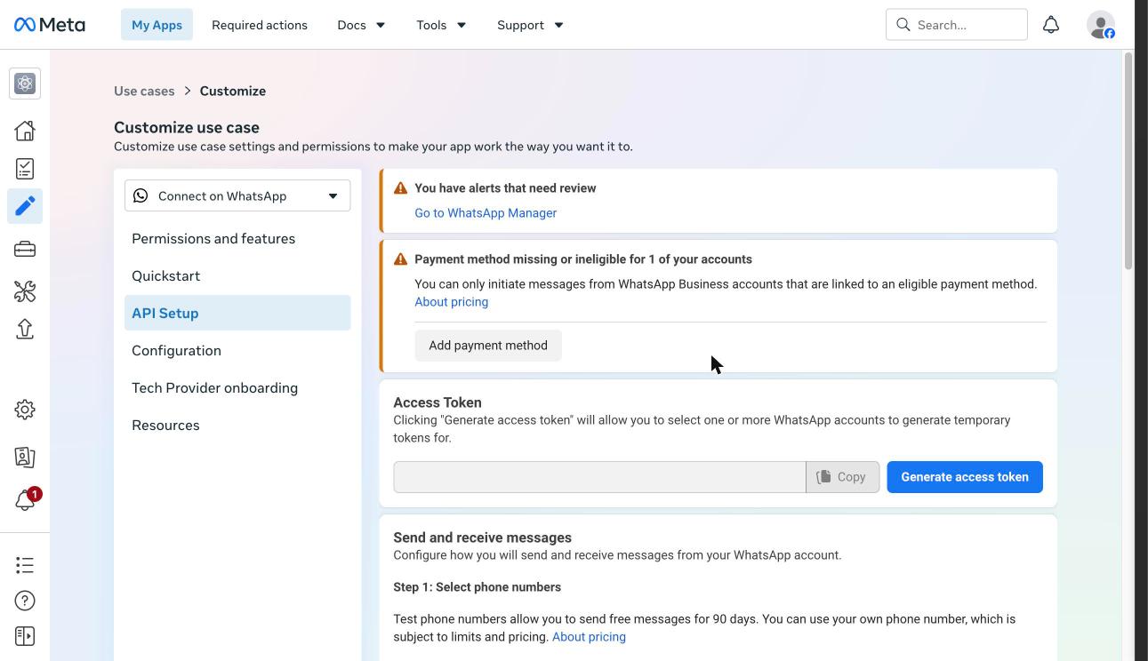 Customize use case page with API Setup selected in the left menu