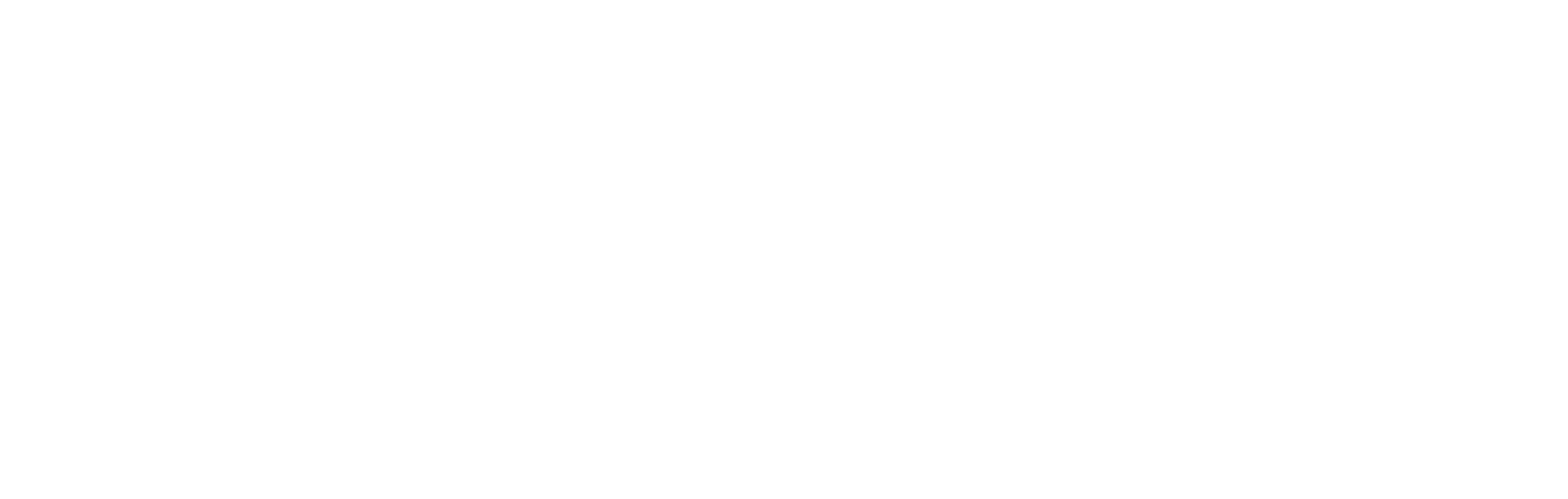 dark logo