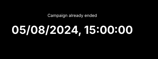Example completed campaign state