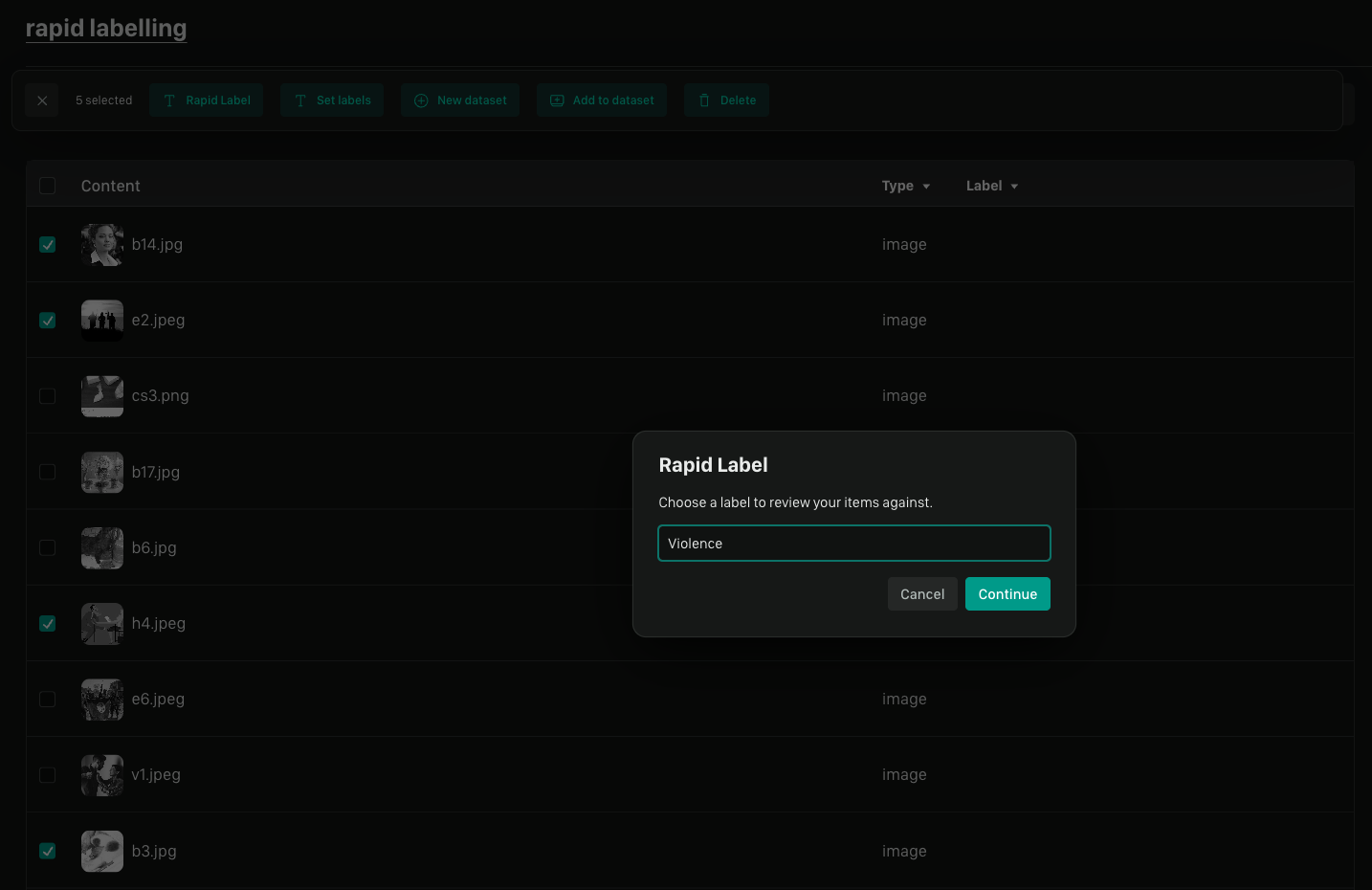 Rapid Data Labelling Label Selection 9 4 2025 Pn