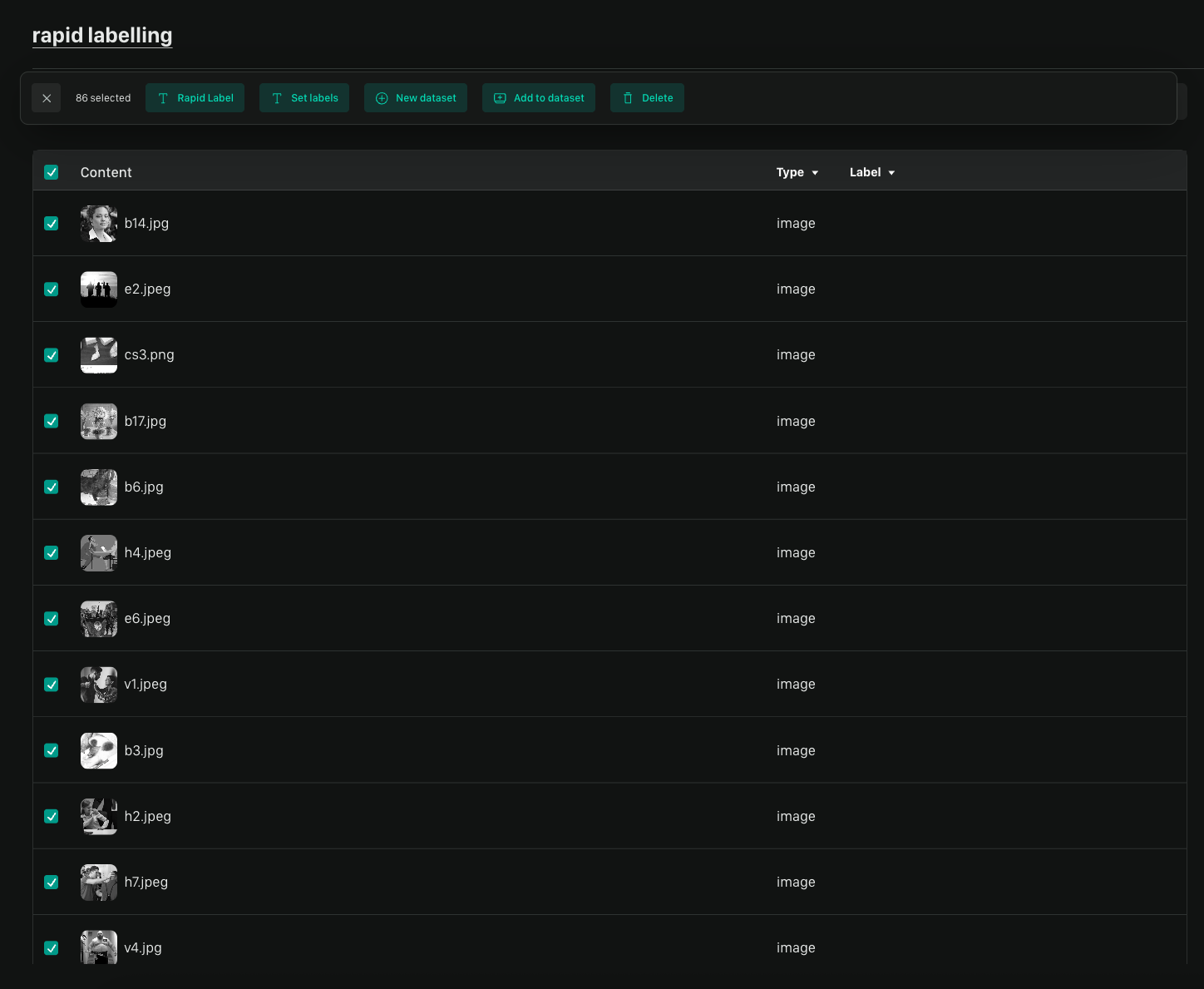 Rapid Data Labelling Selection 9 4 2025 Pn