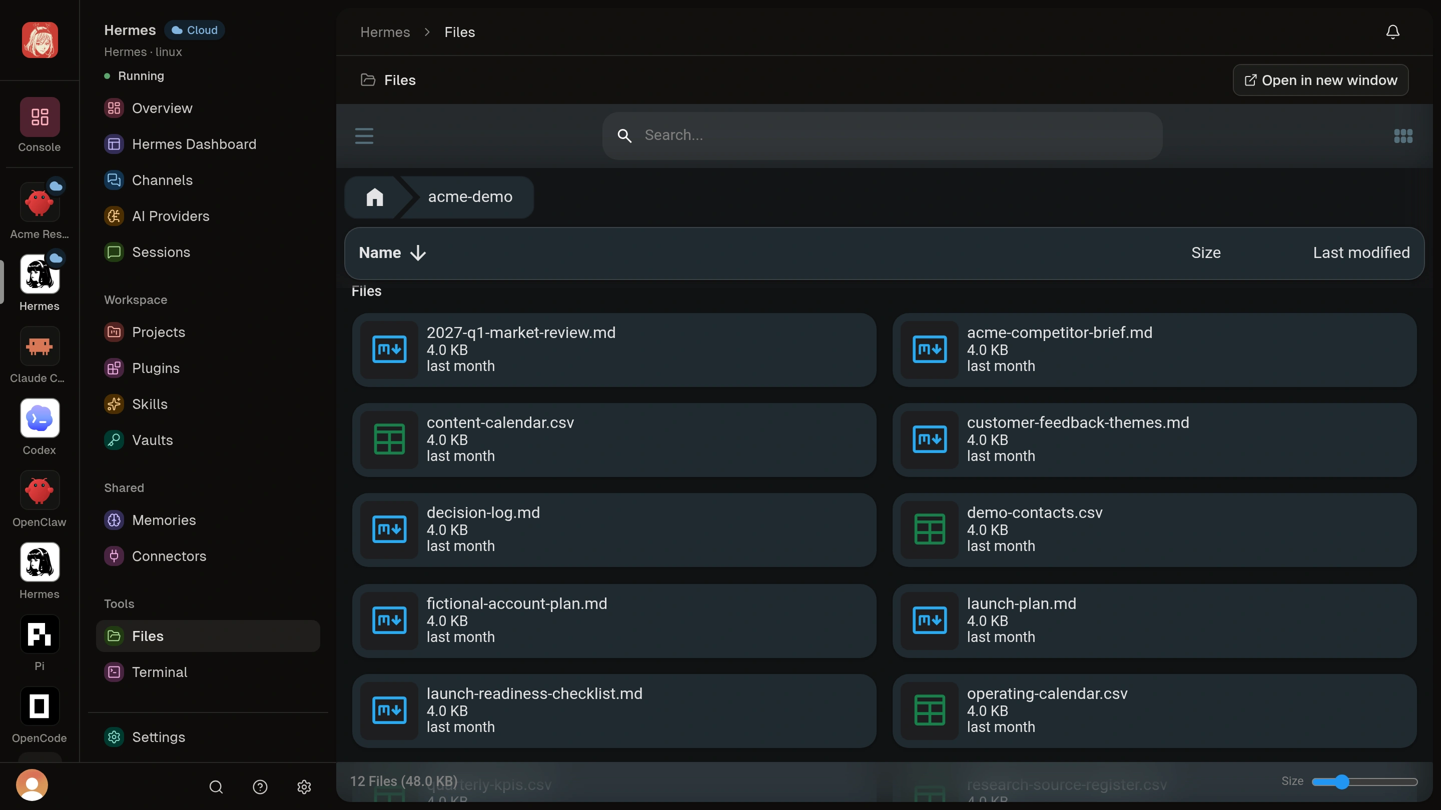 Twelve synthetic long-term Workspace files in a Cloud Agent Files view