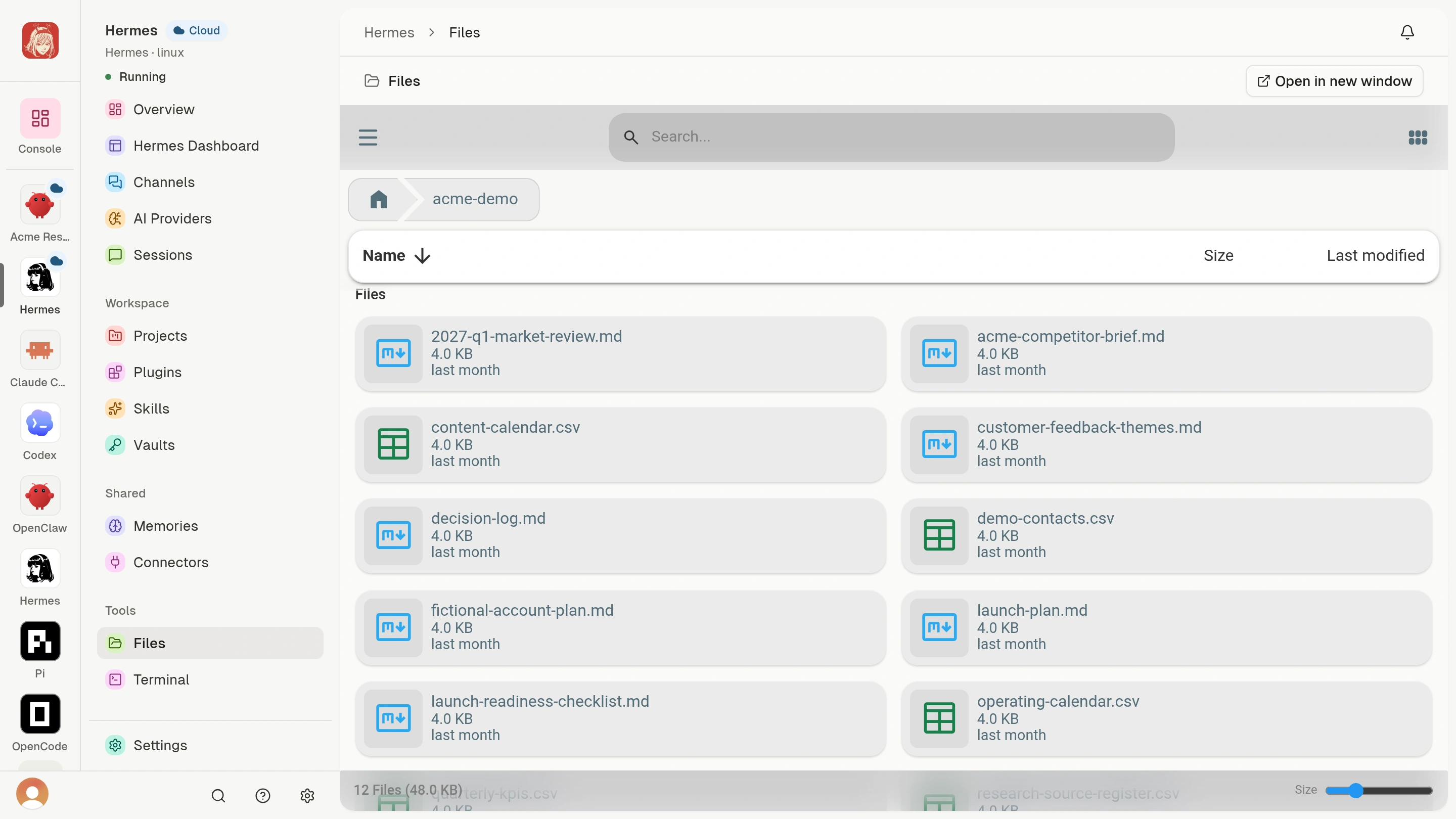 Twelve synthetic long-term Workspace files in a Cloud Agent Files view